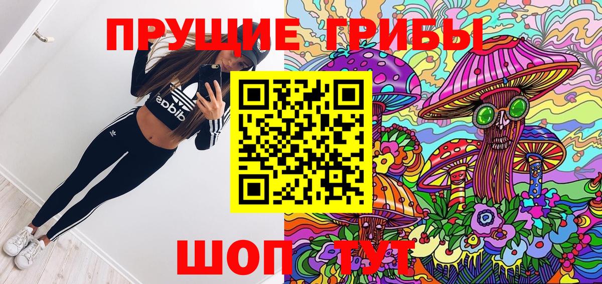 Псилоцибиновые грибы прущие грибы Кириши