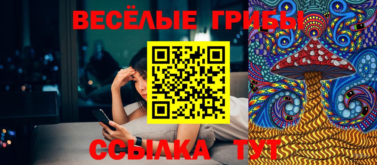 Псилоцибиновые грибы мицелий  купить наркоту  Псилоцибиновые грибы MAGIC MUSHROOMS  Кириши  Вход с VPN 